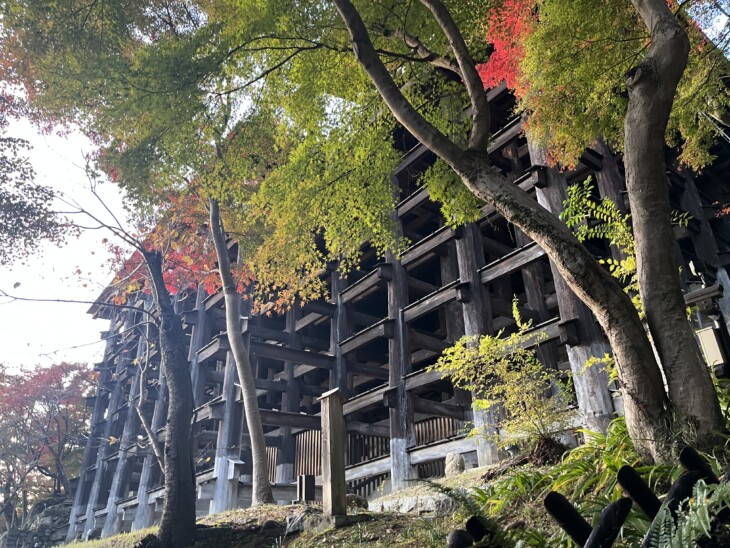   清水寺に行って来ました。