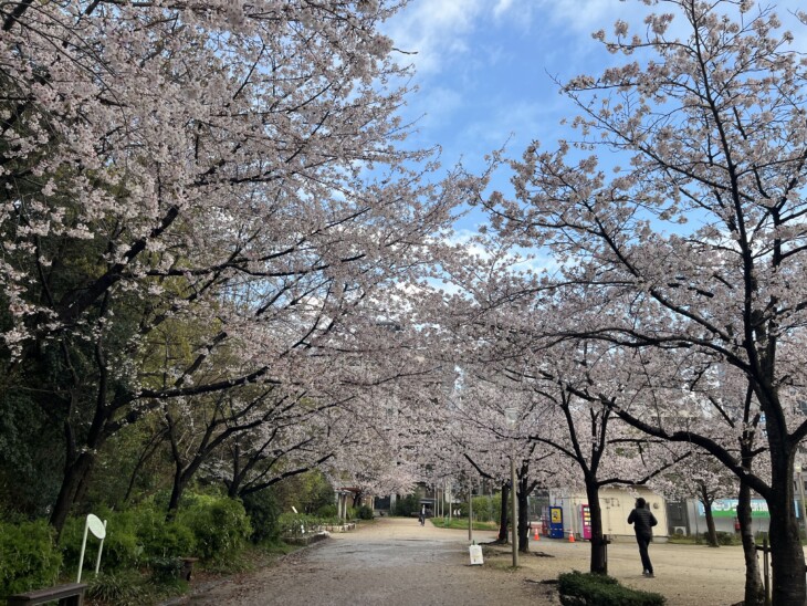   春の朝ランニング